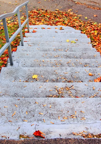 Outono deixa escadas — Fotografia de Stock