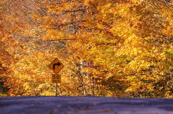 Kırsal yol işaret sonbahar yaprakları — Stok fotoğraf