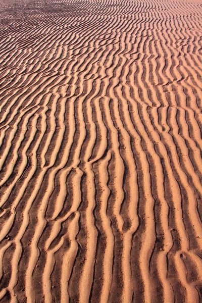 Praia barra de areia — Fotografia de Stock