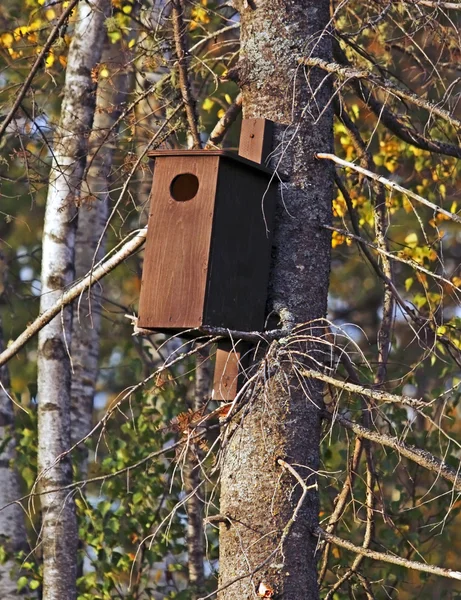 Brown bird house tree woods — Stock Photo, Image