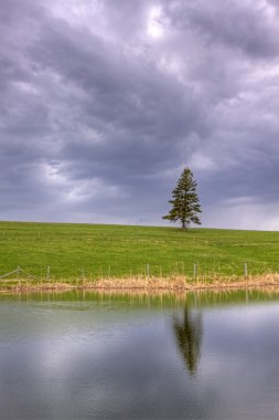 HDR gölet alanı gökyüzü ağaç yansıma