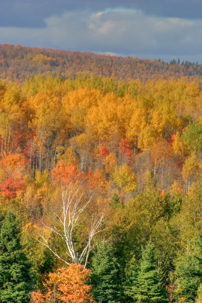 HDR sonbahar renkleri — Stok fotoğraf