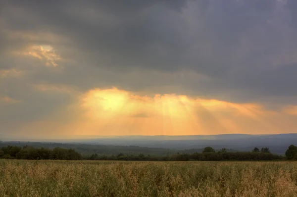 Hdr sunset rays field — Stock Photo, Image