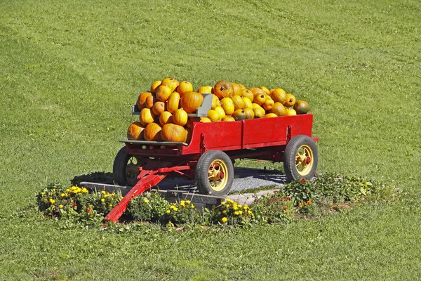 stock image Pumpkins wagon green grass