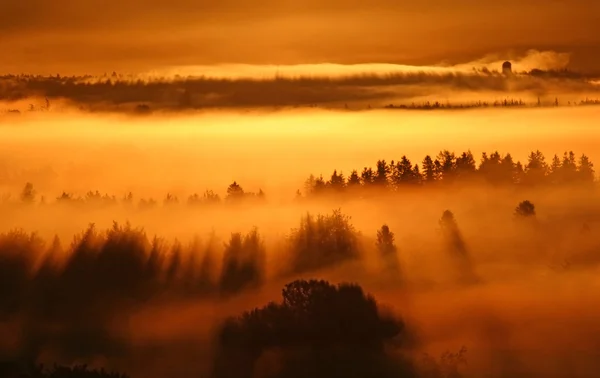 Sunrise fog — Stock Photo, Image