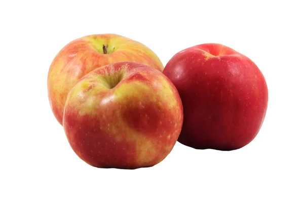 Τρία μήλα gravenstein Εικόνα Αρχείου