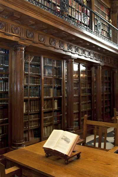 Biblioteca de Libros — Stok fotoğraf