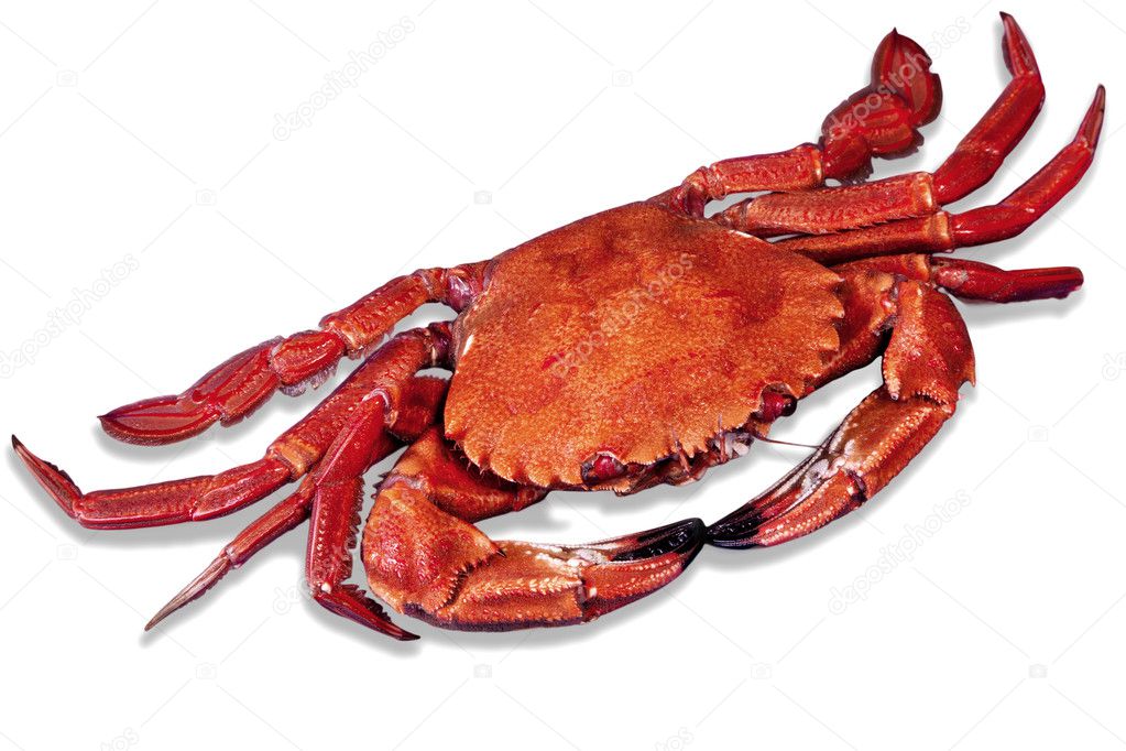 Wonderful red cooked crab