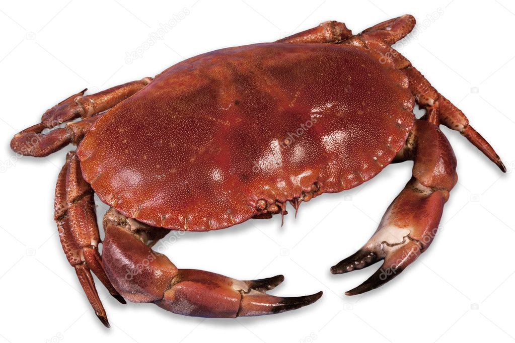 Wonderful red cooked crab