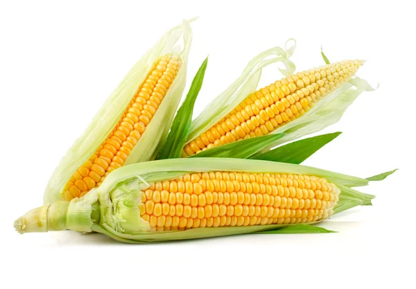 Frisches Maisgemüse mit grünen Blättern — Stockfoto