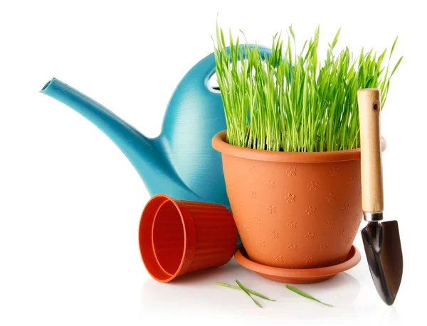Зеленая трава в кастрюлю с лопатой инструмент — стоковое фото