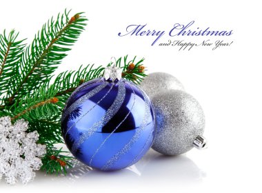 Noel mavi topu ile şube firtree
