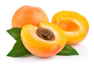 Apricot fruits with green leaf clipart