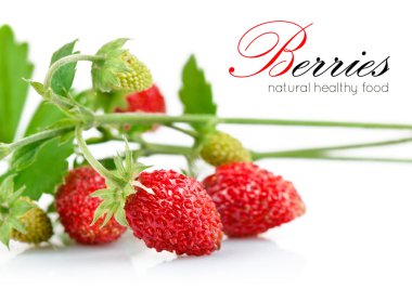 Wild strawberry berry with green leaf clipart