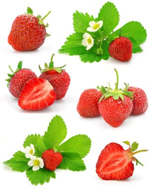 Collection of red strawberry fruits isolated clipart