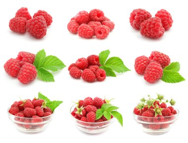 Ripe raspberry clipart