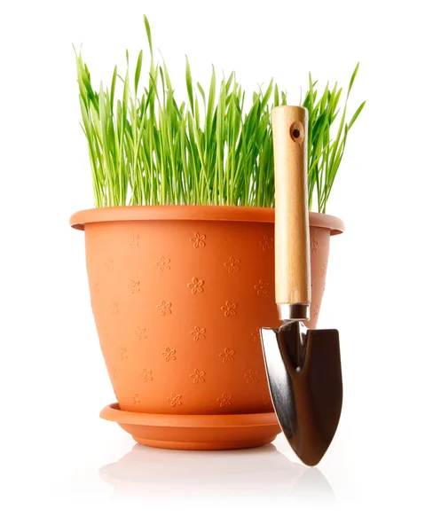 Zelené trávě v hrnci s lopatou nástroje — Stock fotografie