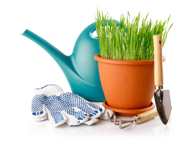 Зеленая трава в кастрюлю с лопатой инструмент и перчатки — стоковое фото