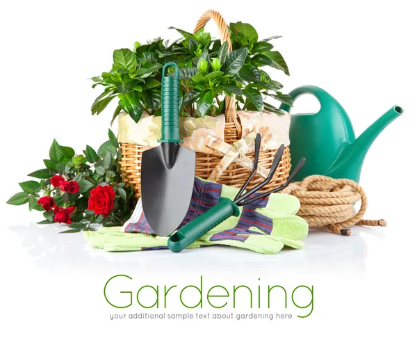 Garden equipment with flowers and green plants — Stock Photo, Image