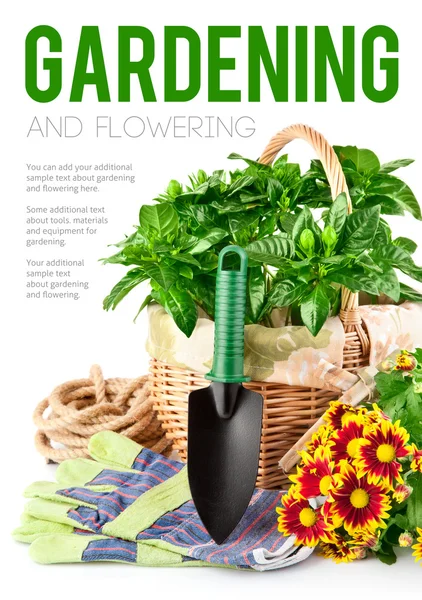 Attrezzature da giardino con fiori e piante verdi — Foto Stock