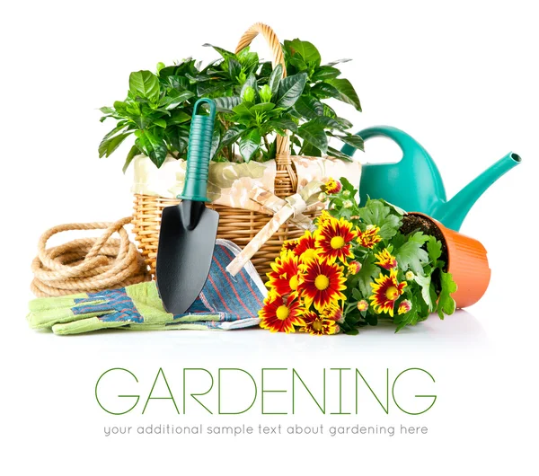 Machines de jardin avec fleurs et plantes vertes — Photo