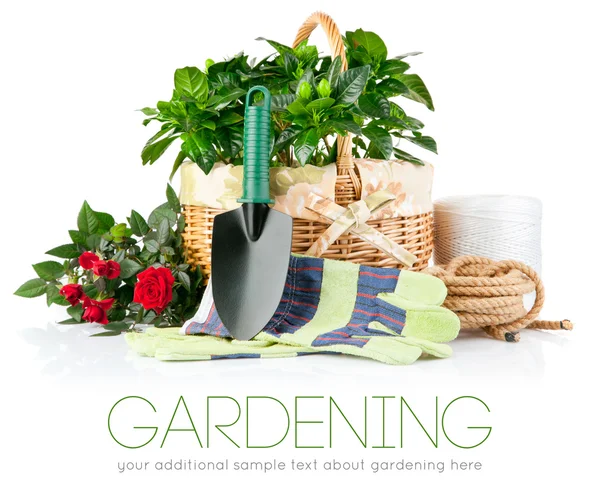 Equipamento de jardim com flores e plantas verdes — Fotografia de Stock