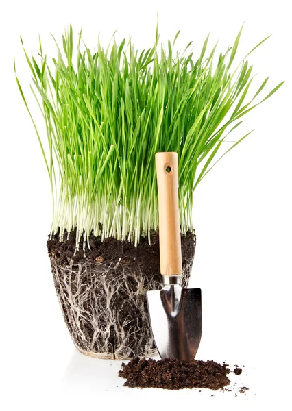 Verde erba con radici nel suolo e pala strumento — Foto Stock