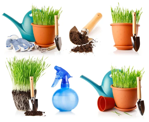Набор зеленой травы в кастрюлю с лопатой инструмент и земли — стоковое фото