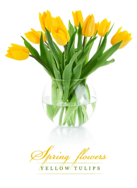 Bunga tulip kuning di vas kaca — Stok Foto