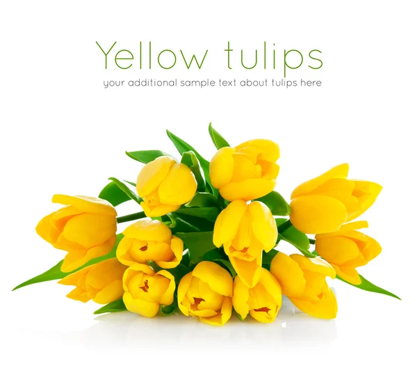 黄色郁金香鲜花花束 — 图库照片