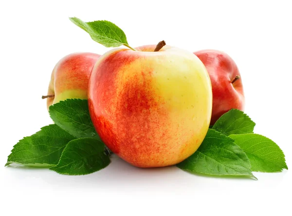 Frutti di mela rossa con foglie verdi — Foto Stock