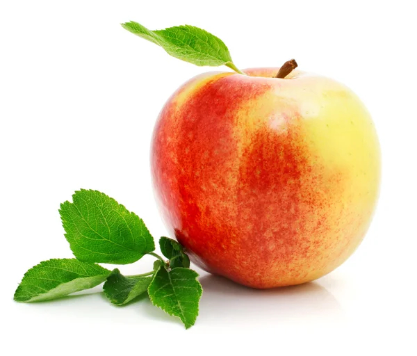 Červené jablko ovoce se zelenými listy — Stock fotografie