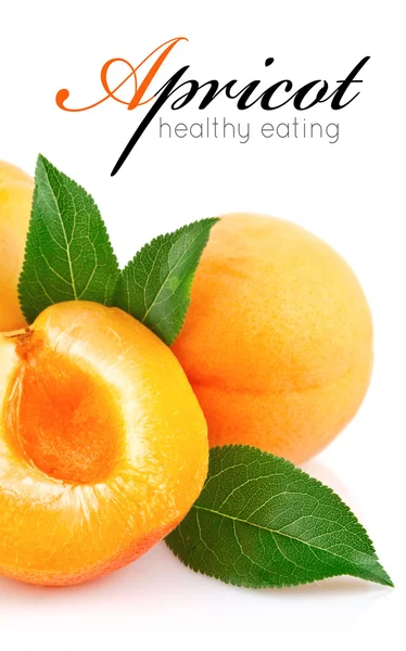 Abrikoos vruchten met groen blad — Stockfoto