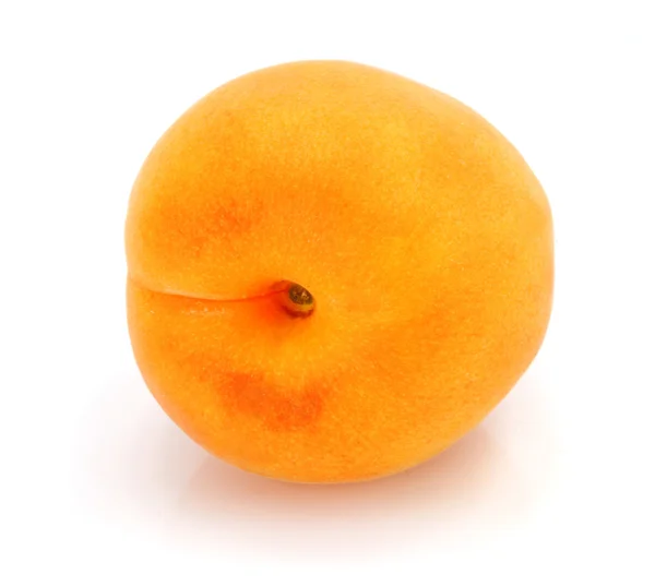 Een vers abrikoos fruit — Stockfoto