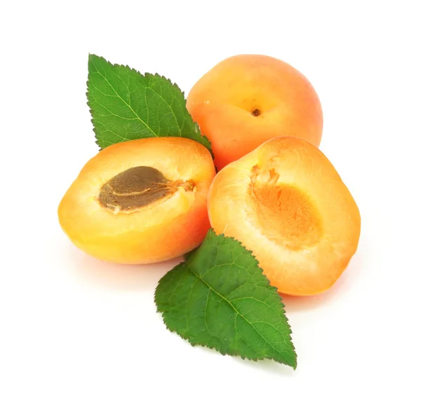 Vers abrikoos fruit snijden geïsoleerde — Stockfoto