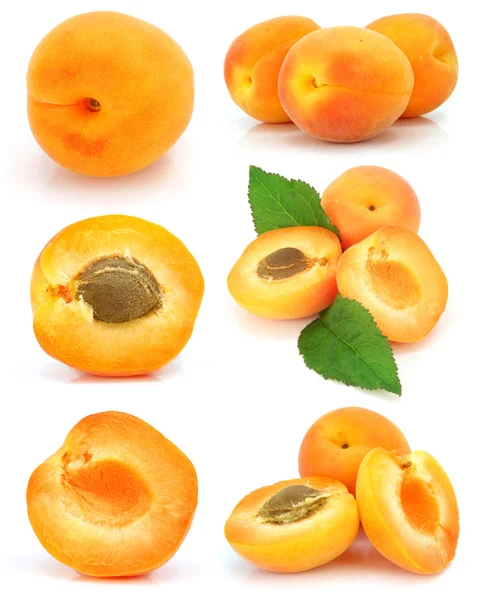 Collection of fresh apricot fruits isolated — Stock Photo, Image