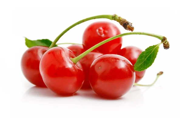 Свіжі червоні вишні з зеленим листям — стокове фото