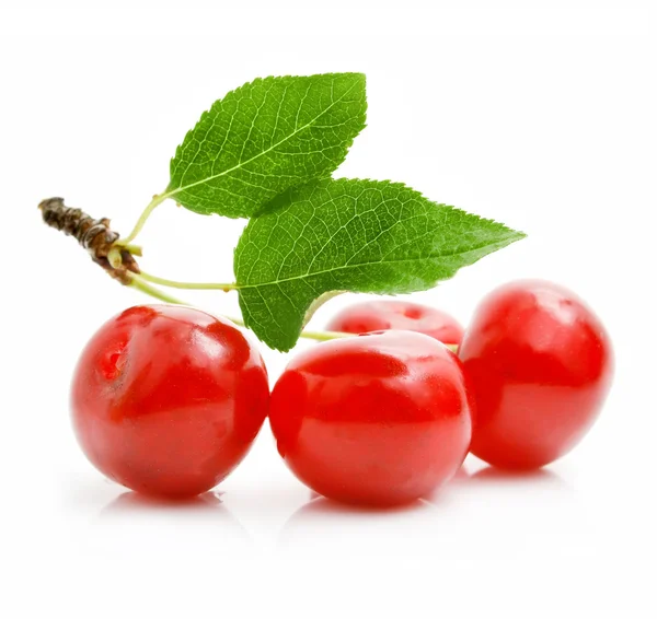Färska röda körsbär med gröna blad — Stockfoto