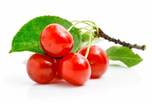 Čerstvé červené třešně se zelenými listy — Stock fotografie