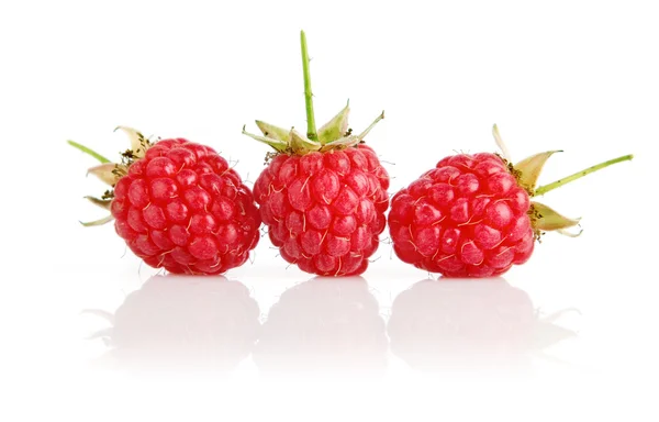 Fresh raspberry fruits with green leaves — Stock Photo, Image