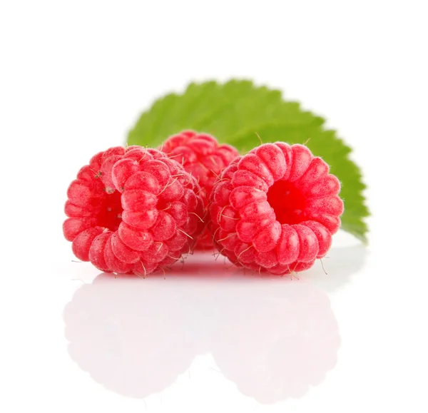 Čerstvé maliny ovoce se zelenými listy — Stock fotografie