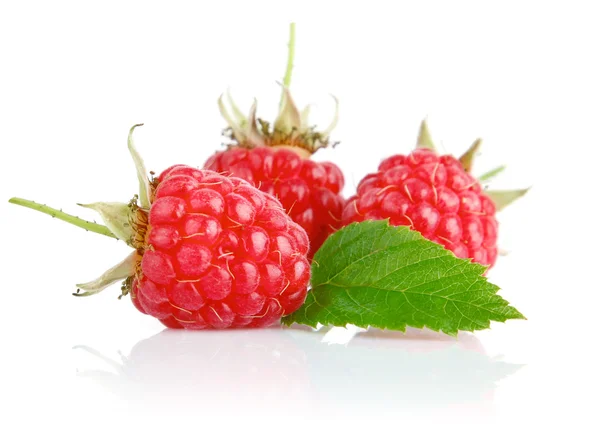 Fresh raspberry fruits with green leaves — Stock Photo, Image