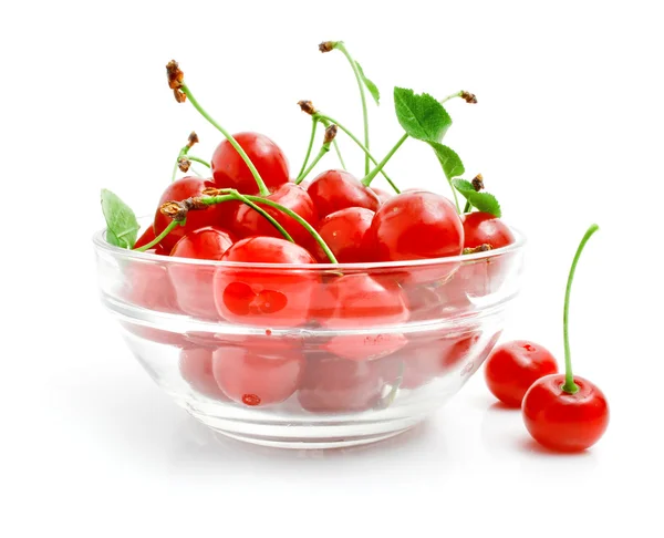 Cherries fruits with green leaves in the glass vase — Stock Photo, Image