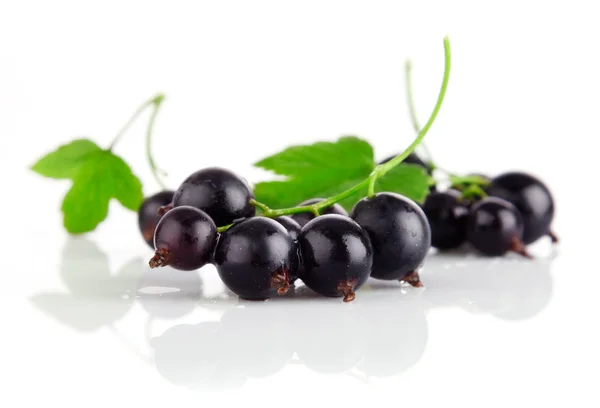 Färska vinbär frukter med gröna blad — Stockfoto