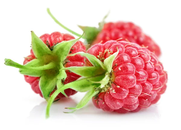 Raspberry berries with green leaf — Stock Photo, Image