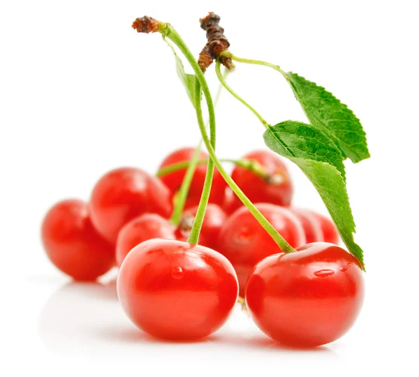 Fresh red cherries with green leaves — Stock Photo, Image
