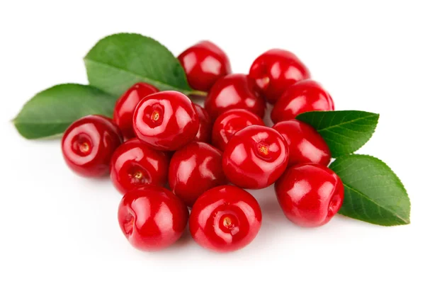 Vers cherry fruit met groene bladeren — Stockfoto