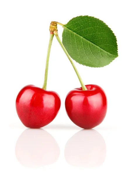Frutas frescas de cereja com folhas verdes — Fotografia de Stock
