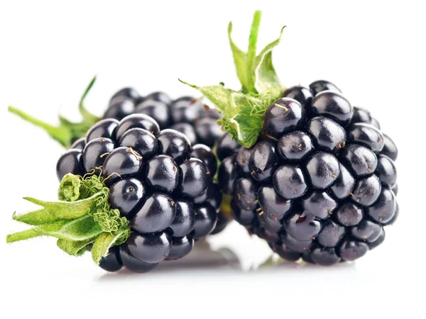 Berry blackberry med grönt blad — Stockfoto
