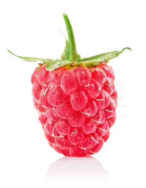 Raspberry berry with green leaf — Stock Photo, Image